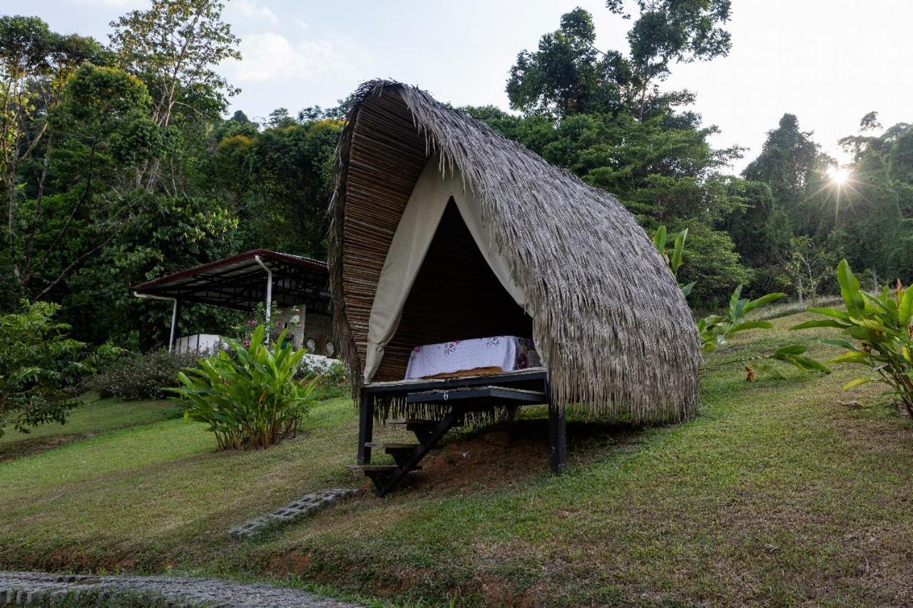 Esquipulas Rainforest Quepos Exterior foto